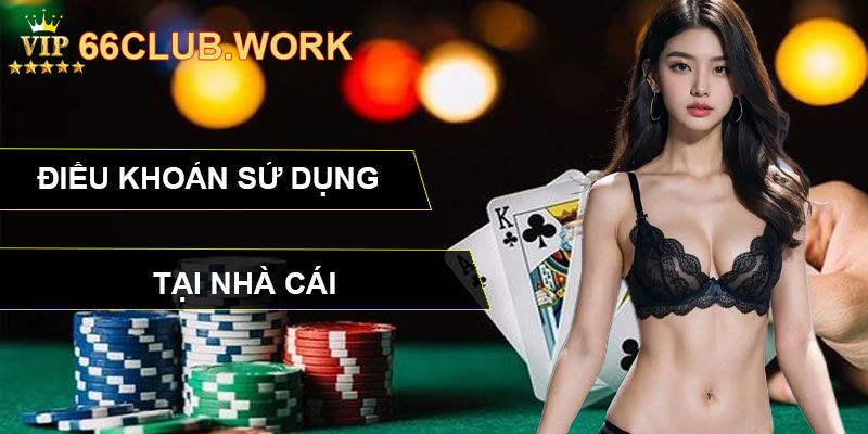 Điều khoản sử dụng tại nhà cái