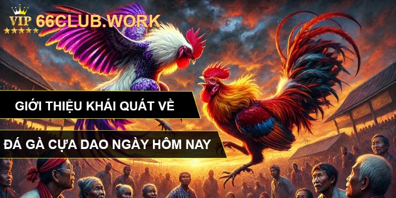 Giới thiệu khái quát về đá gà cựa dao ngày hôm nay