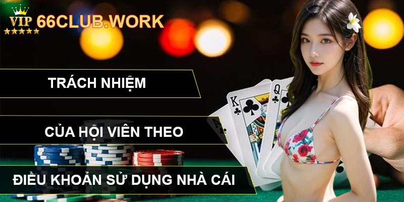 Trách nhiệm của hội viên theo điều khoản sử dụng nhà cái